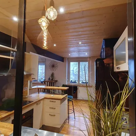 La Maison Swan Plein Centre Holiday home *